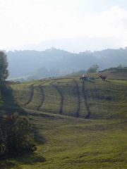 Labour des champs sous La Toussuire